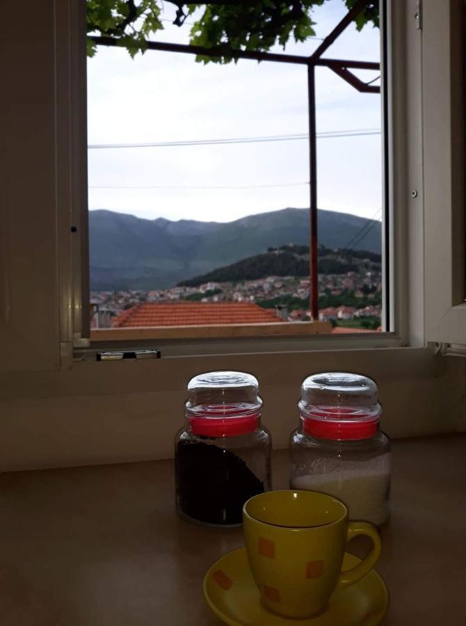 Apartment Tanja Trebinje Extérieur photo